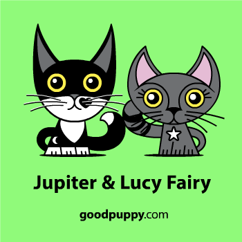 JUPITER &amp; LUCY FAIRY