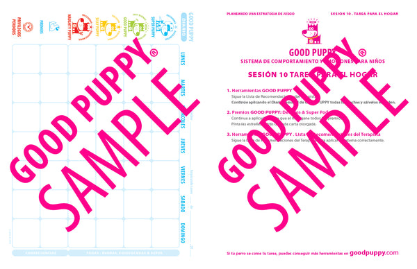 TERAPIA Kit De Herramientas . Sesiones 1-10 . Spanish . Softcover . Now Only Available at goodpuppygo.com