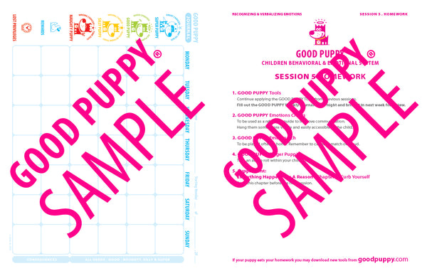 THERAPY Streamlined Toolkit . Sessions 1-10 . Softcover . Now Only Available at goodpuppygo.com